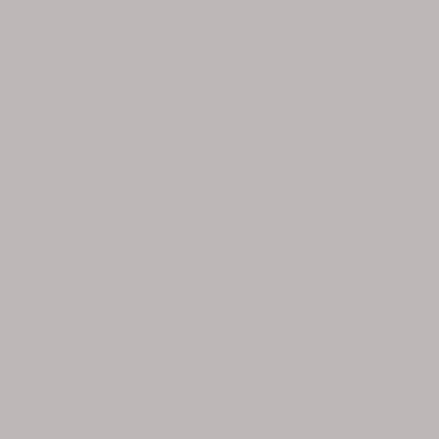 HPL - U12044XM DOLFIJNGRIJS 4100X1300X0,8MM