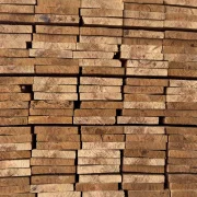 Hout