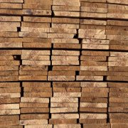 Hout