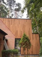 GEVEL THERMO AYOUS SKYLINE 20 x130 mm (per 4st, 1 van elk profiel)