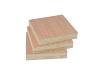 MULTIPLEX KIWI-PLY EV 18 MM 2,50X1,22M 