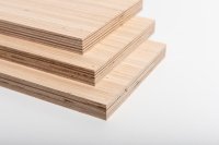 MULTIPLEX OVERLAY-PLY EUCALYPTUS  B/B 3050x1300x12MM