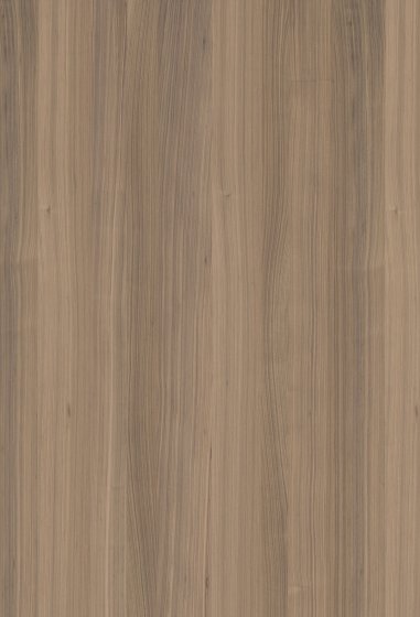 KANTENBAND FINEER NUXE WALNUT ELEGANCE/HERITAGE 0,6x24MM 100M ROL ZONDER LIJM
