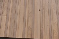 MANHATTAN TOO THERMO AYOUS 18MM - PER 6 STUKS