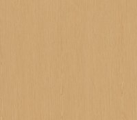 SHINNOKI 4.0 KANT FINEER ZONDER LIJM 0,6x24MM ROL 100M IVORY INFINITE OAK 05 (S4-ED24-05)