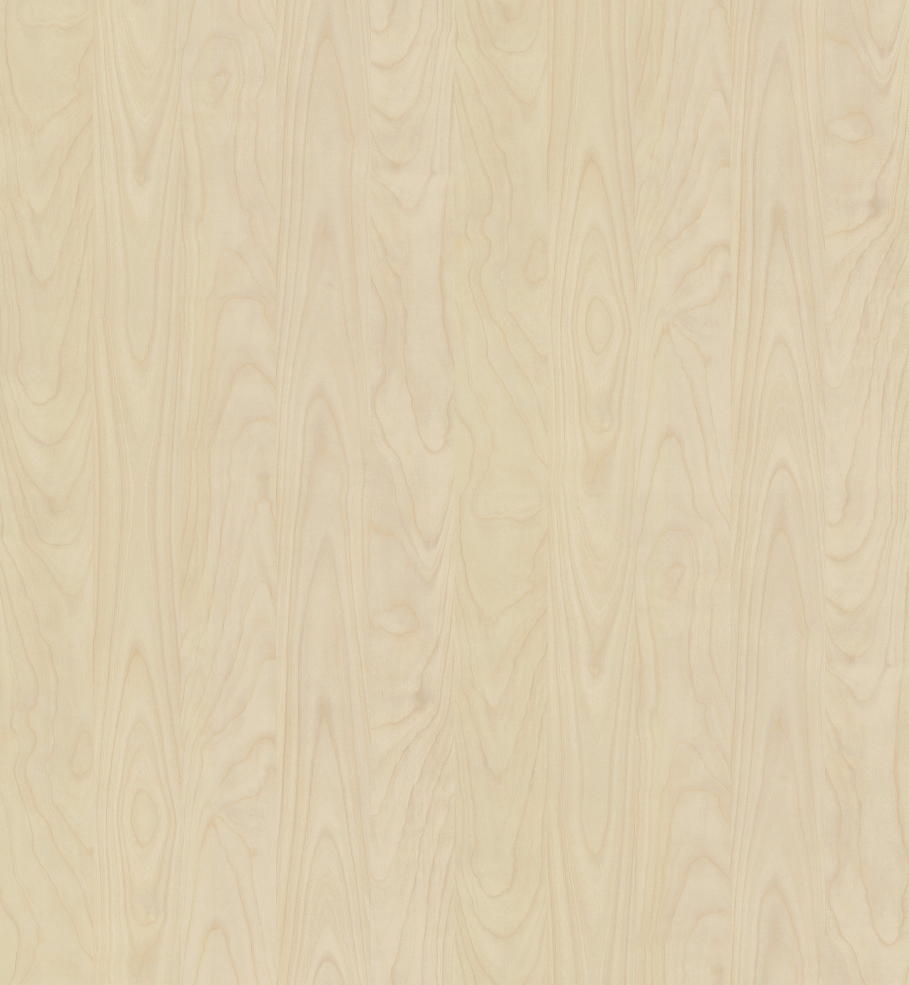 MELAMINEPLAAT - R55064ML ZEEPIJNBOOM 2800X2100X8MM