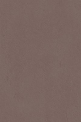 MELAMINE SKIN 5456CB BRONZO 2800X2070X18MM