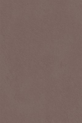 MELAMINE SKIN 5456CB BRONZO 2800X2070X18MM