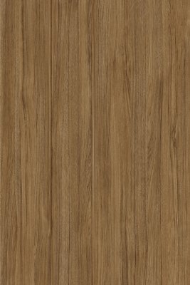 KANT ABS SKIN 2524DV DEMETRA FORESTA 75M/ROL 23X1MM