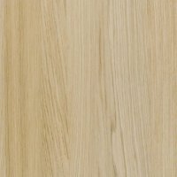 SHINNOKI 4.0 KANT ABS ZONDER LIJM 1x24MM ROL 50M IVORY OAK 04 (S4-EDA24-04)