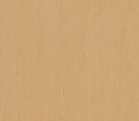 SHINNOKI 4.0 KANT ABS ZONDER LIJM 1x24MM ROL 50M IVORY INFINITE OAK 05 (S4-EDA24-05)