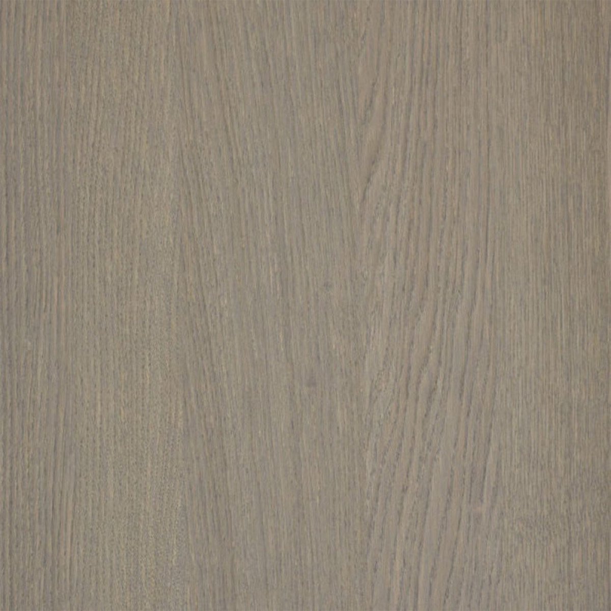 Koop SHINNOKI paneel 2790x1240x19mm enkelzijdig Manhattan Oak 05