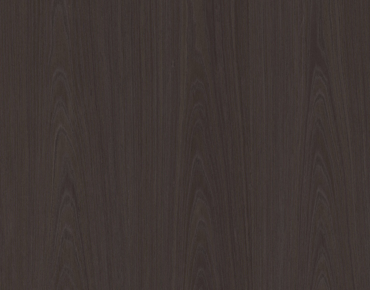 20190514-228-18.11main-57cedd0df10f6