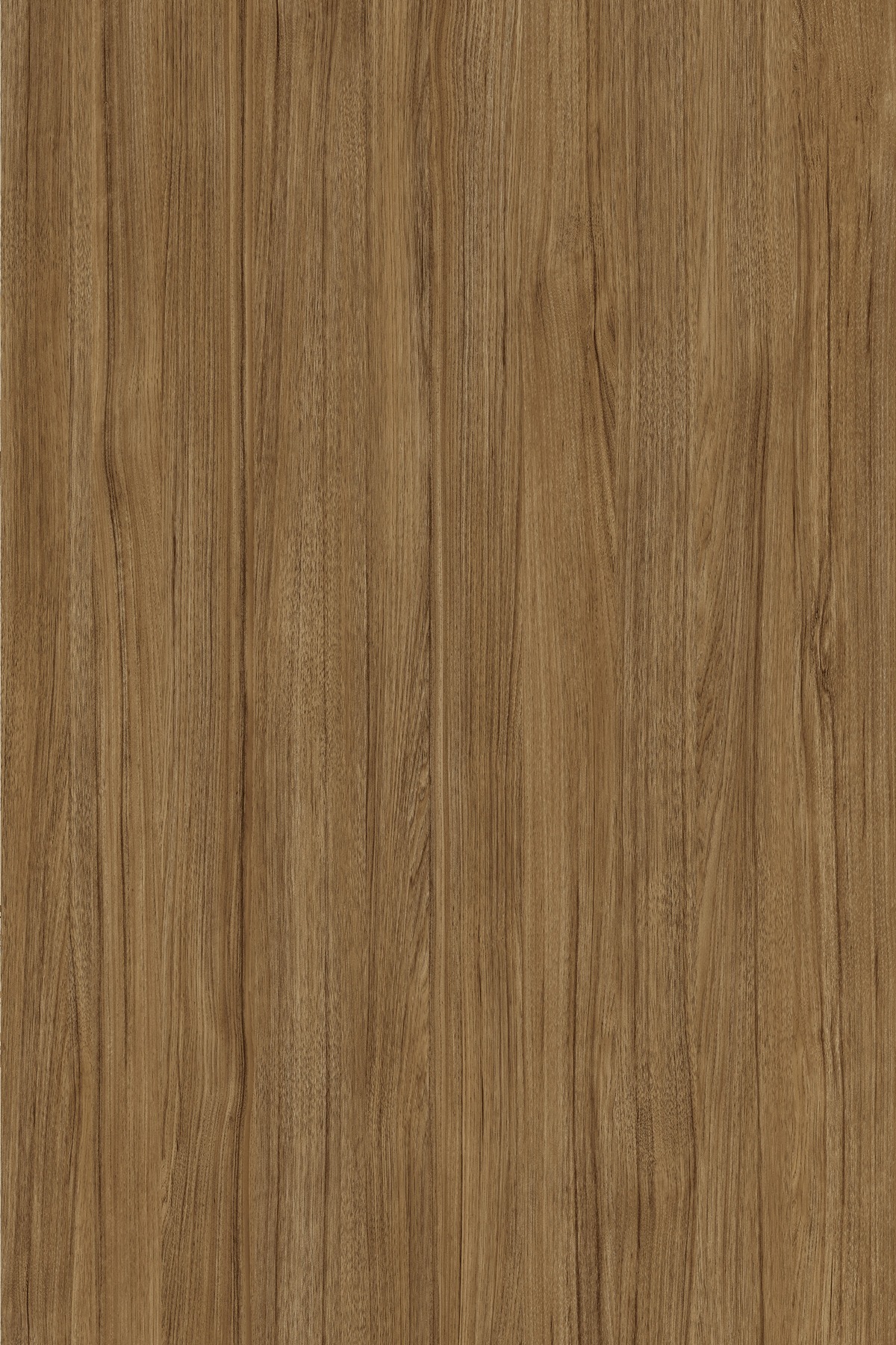 2524_Demetra-Foresta