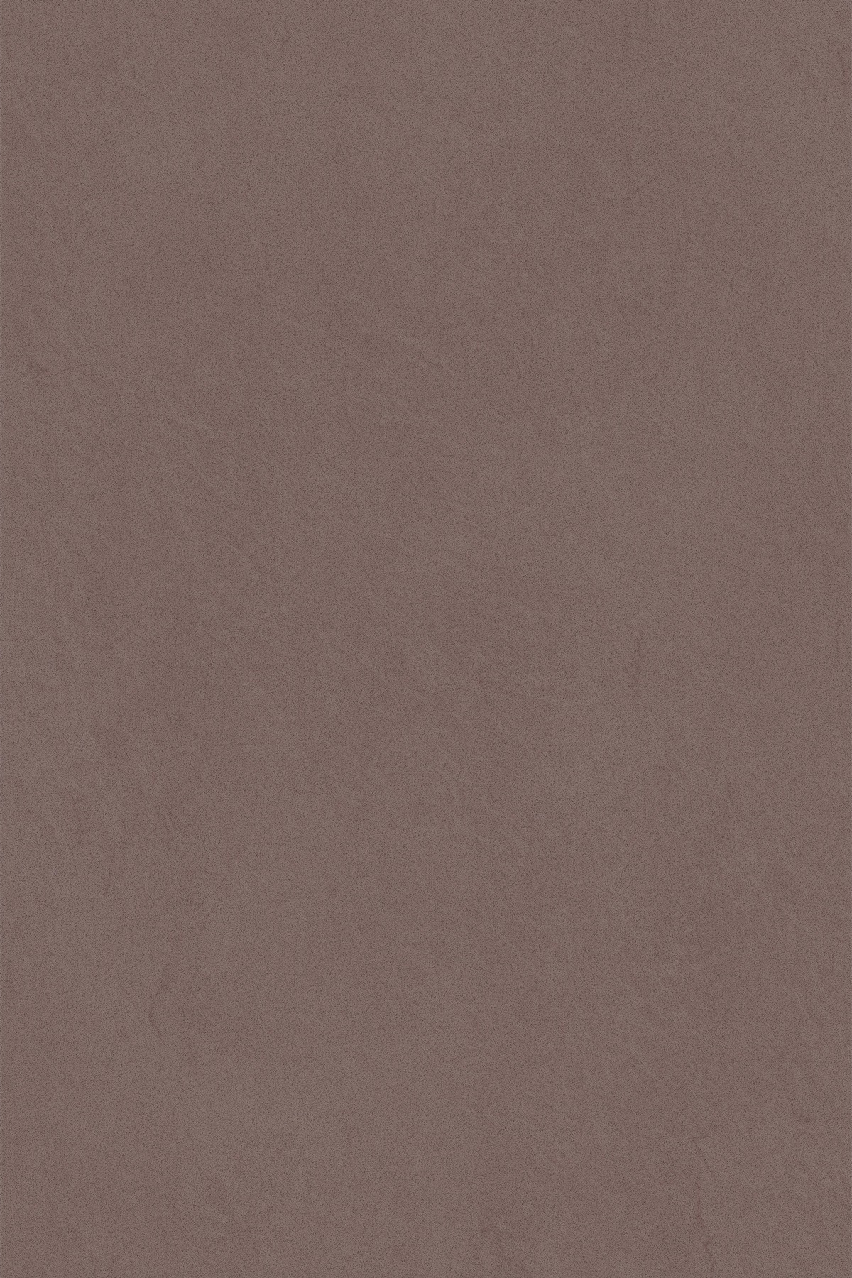 5456_-Bronzo_03