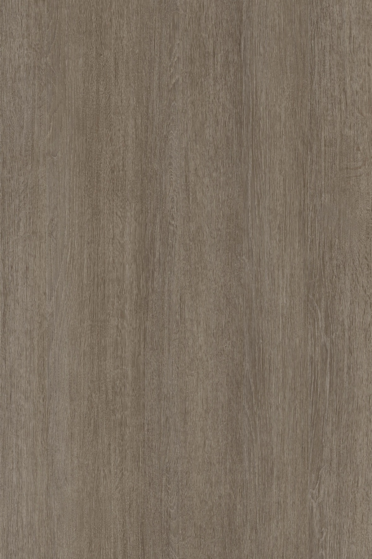 6425_Rovere-Metz_02