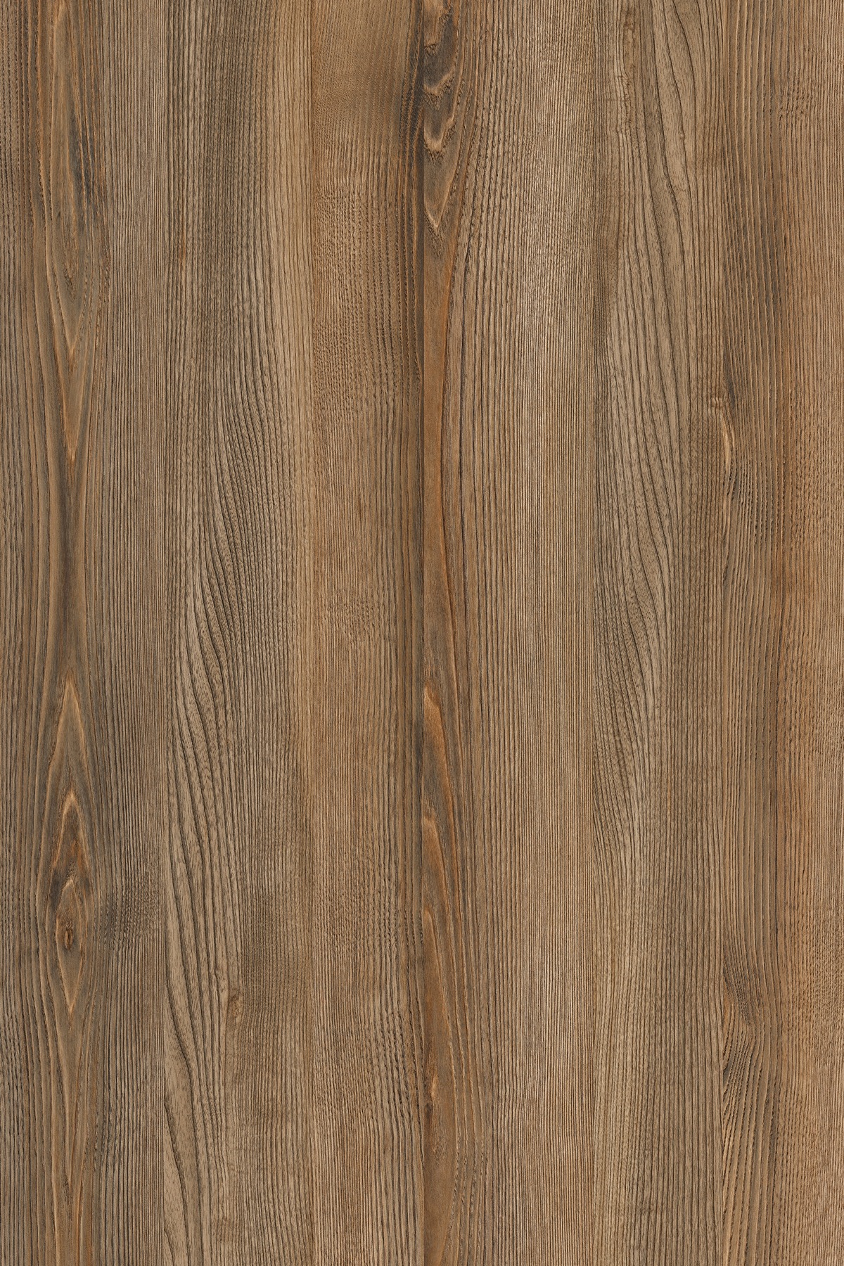 K591_Celtico-Tanno