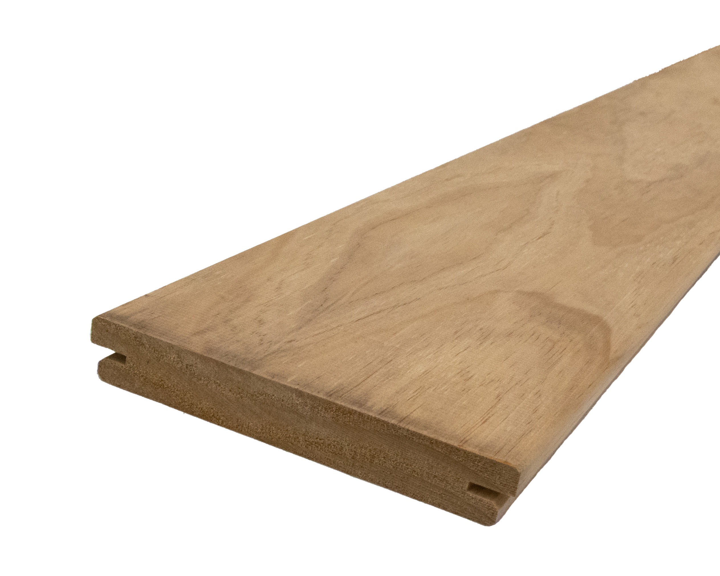 2 accoya DSC_1093